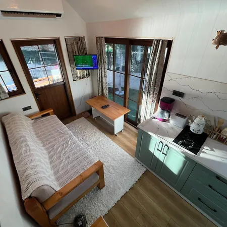 Vakantiehuis Altinkum Tiny House, 100 M From The Sea *